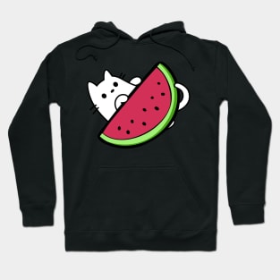 Cat under watermelon slice Hoodie